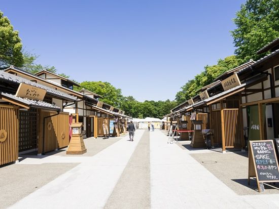 Japan_Aichi_kinshachi_yokocho_pixta_40404300_M