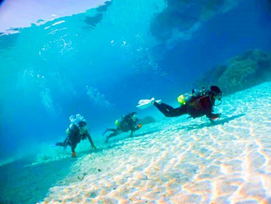 【ベストプライス】竹富島観光＋八重山諸島体験ダイビング　水牛車観光と選べるランチ付き＜1日／昼食／送迎＞