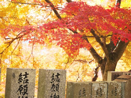 貸切お遍路ツアー　徳島阿波（発心の道場）1～3番・香川讃岐（涅槃の道場）86～88番＜7時間／1～9名／徳島市内発＞