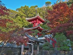 金泉寺_pixta_60965133_M