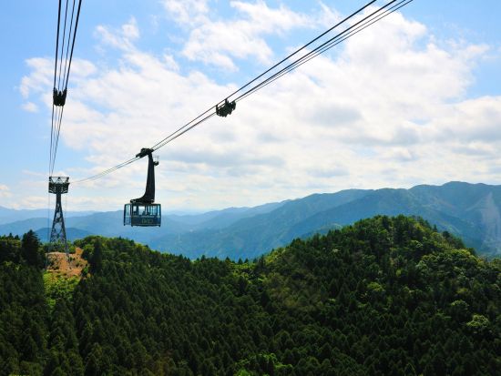 貸切海沿いドライブツアー　南阿波の絶景と名所を巡る！　南阿波サンライン＋ブルーマリン海中観光船＋薬王寺＋大龍寺　名物海賊料理あり＜9時間／1～9名／徳島市内発＞