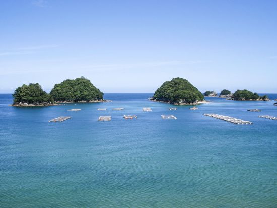 貸切海沿いドライブツアー　南阿波の絶景と名所を巡る！　南阿波サンライン＋ブルーマリン海中観光船＋薬王寺＋大龍寺　名物海賊料理あり＜9時間／1～9名／徳島市内発＞