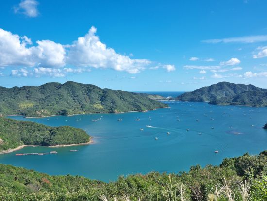 貸切体験ツアー　鳴門の渦潮と文化を体験！　うずしお観潮船＋鳴門スカイライン＋霊山寺＋ドイツ館　大谷焼と藍染の名所も訪問＜6時間／1～9名／徳島市内発＞
