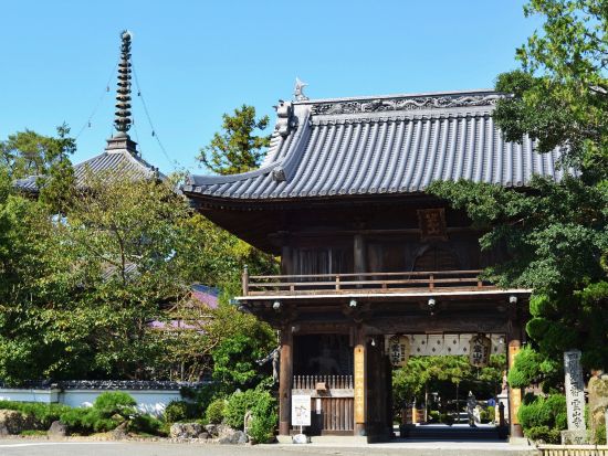 貸切2都市周遊ツアー　鳴門＆徳島の市内観光！　うずしお観潮船＋徳島城＋阿波十郎兵衛屋敷＋霊山寺＋ドイツ館＋藍の館＜7時間／1～9名／徳島市発＞