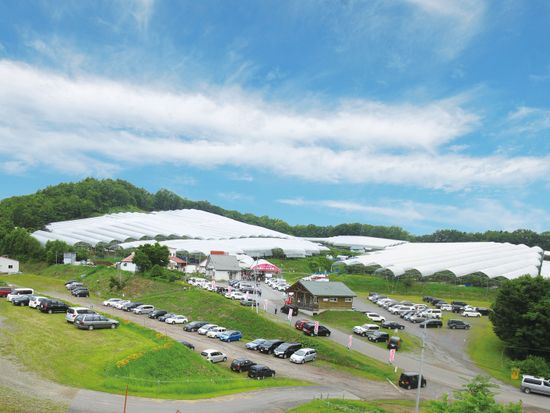 時間無制限 食べ放題 雨よけドーム完備の大橋さくらんぼ園でサクランボ狩り 富良野市内から車で約30分 芦別市 富良野 美瑛 旭川の観光 遊び 体験 レジャー専門予約サイト Veltra ベルトラ 時間無制限 食べ放題 雨よけドーム完備の大橋さくらんぼ園でサクランボ狩り 富良野市内から車で約30分 芦別市 富良野 美瑛 旭川の観光 遊び 体験 レジャー専門予約サイト Veltra ベルトラ