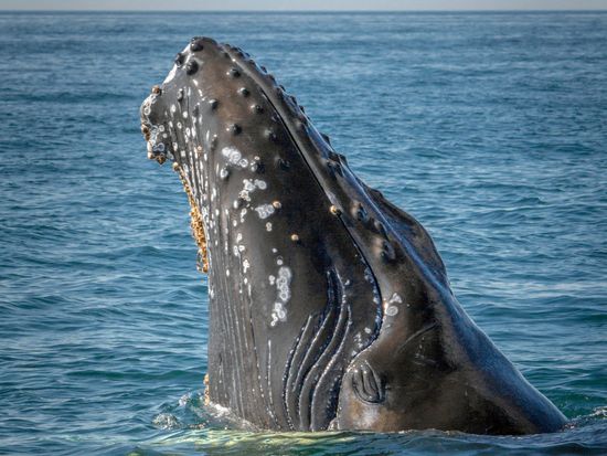 jorge-vasconez-M-dBzCRIzmk-unsplash