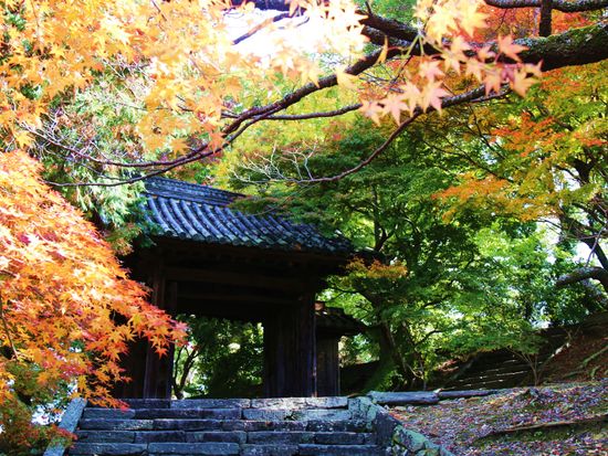 丈六寺_pixta_13324178_M