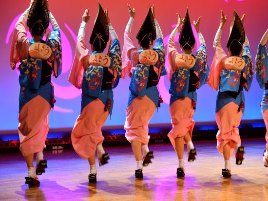 貸切名所ツアー　徳島市内の定番観光！　徳島城＋瑞巌寺＋阿波十郎兵衛屋敷　眉山など追加訪問プランあり＜2・3・4時間／1～9名／徳島市発＞