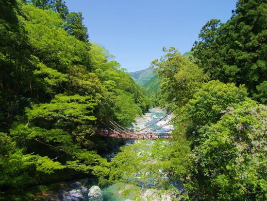 貸切3都市周遊ツアー　三好・美馬・阿波を制覇！　大歩危峡遊覧船＋かずら橋＋うだつの町並＋阿波の土柱　日本三大秘境と世界三大土柱＜8時間／1～9名／徳島市発＞