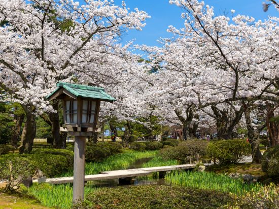 貸切観光タクシー 兼六園・金沢城など人気スポットへご案内！着物レンタル付きプランあり＜3時間／1～9名／金沢発着＞by 冨士タクシー