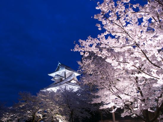 貸切観光タクシー 金沢の定番観光地＆夜景を効率よく！プライベート夜景観賞タクシー 卯辰山と金沢城石川門・ひがし茶屋街・尾山神社＜1時間／1～8名／金沢発着＞