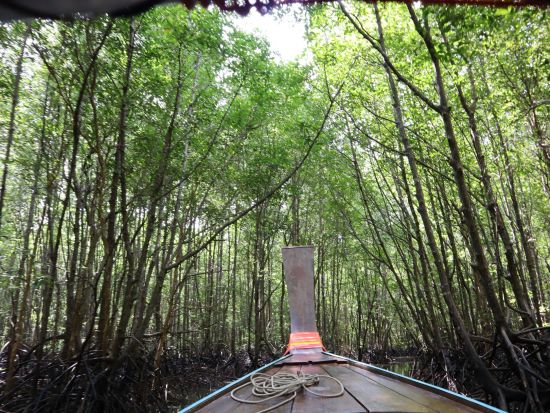 ロングテールボートで行くパンガー湾ツアー　シーカヌー体験＋洞窟探検＋水上村＋ジェームスボンド島上陸＜ホテル送迎／日本語ガイド／昼食＞