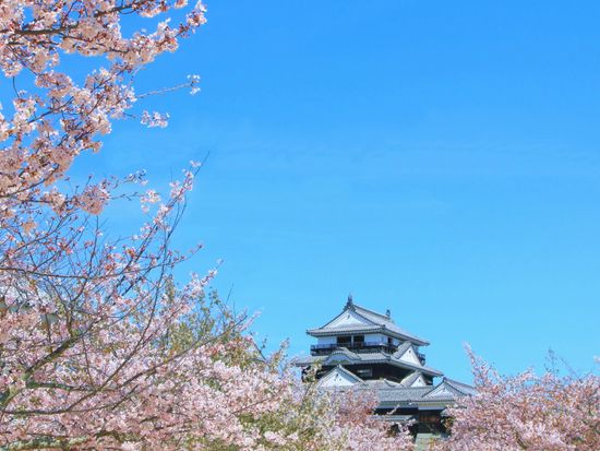 松山城_pixta_64507661_M