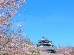 松山城_pixta_64507661_M