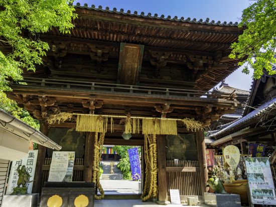 貸切定番観光ツアー　松山の人気観光地を1日で巡る！　道後温泉＋石手寺＋松山城＋ 坂の上の雲ミュージアム　正岡子規や伝統工芸にも触れる充実旅＜6時間／松山発＞