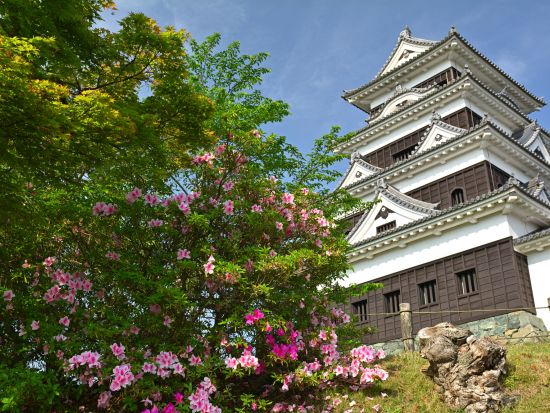 貸切レトロツアー　街並み保存地区・内子＆伊予の小京都・大洲　内子座＋大洲城＋上芳我邸＋臥龍山荘＜6時間／選べる出発時間／松山発＞