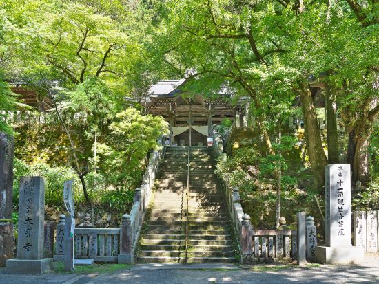 お遍路ツアー　愛媛伊予（菩提の道場）44～53番＜7時間／選べる出発時間／松山発＞