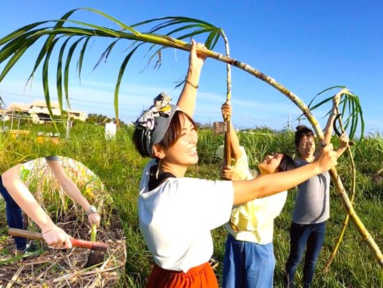 スイーツ作り体験　オーガニックファームの黒糖と島バナナを使用したスイーツ作り！サトウキビの収穫も楽しもう＜オルタナティブファーム宮古＞の写真5