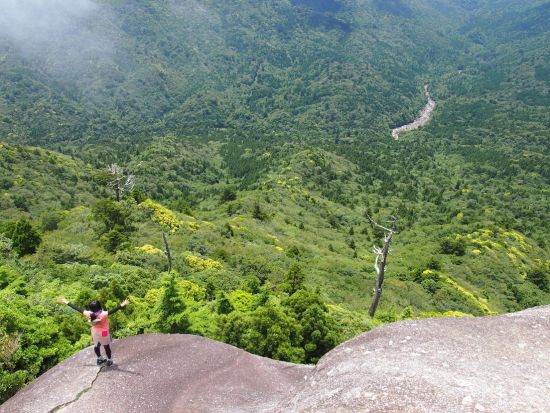 縄文杉1日＋白谷雲水峡1日 (太鼓岩まで) 3泊4日宿泊付きツアー 空港から徒歩1分のRAKUSAホテルに宿泊！＜登山装備レンタル、温泉券付＞ by A・N・D