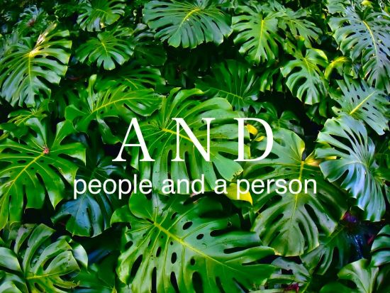 縄文杉1日＋白谷雲水峡1日 (太鼓岩まで) 3泊4日宿泊付きツアー 空港から徒歩1分のRAKUSAホテルに宿泊！＜登山装備レンタル、温泉券付＞ by A・N・D