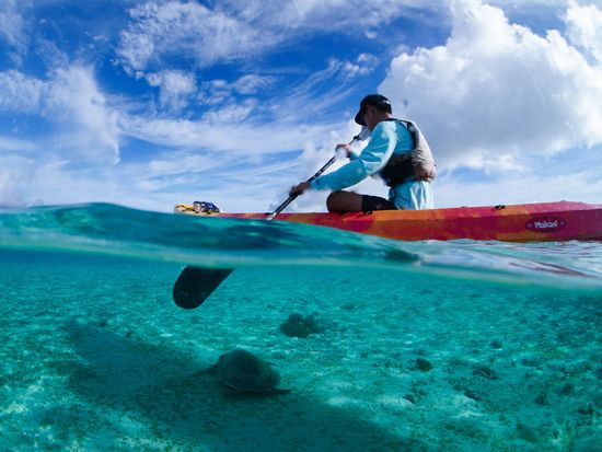 繧ｫ繝､繝・け1