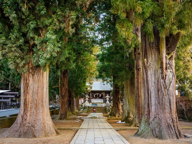 Japan_Yamanashi_Kawaguchi Lake_Sengen_Shrine_pixta_62152736_M