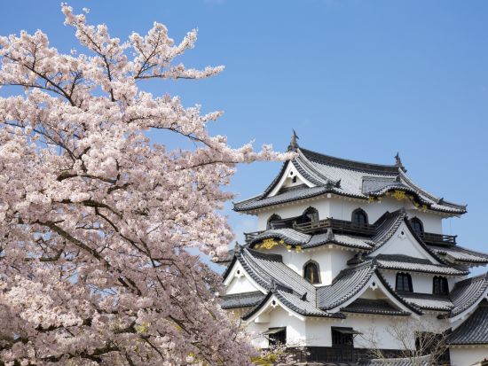 貸切観光タクシー よくばり滋賀観光 彦根城＋近江八幡の水郷めぐり＋黒壁スクエア＜8時間／1～9名／大津市内発・米原市内着＞by 滋賀ヤサカ自動車