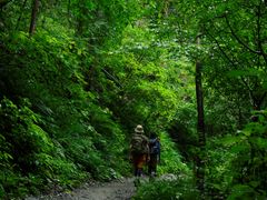 Japan_Tokyo_Mt Takao_pixta_69299525_XL