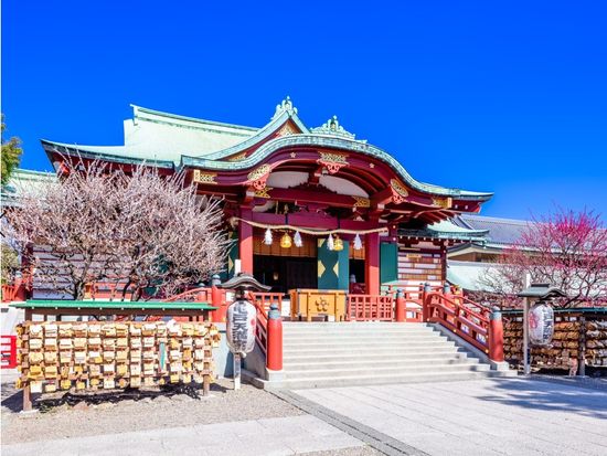Japan_亀戸神社_pixta_46304437_XL