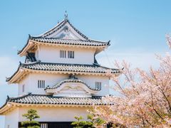 pixta_63692963_M