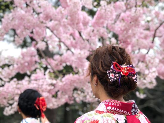 着物レンタル　松江の城下町を着物で散策！髪飾り＆バックなど貸出＋簡単ヘアアレンジ無料　袴プランもご用意＜松江市／当日予約OK＞