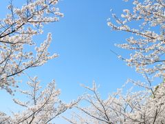 pixta_64208185_M