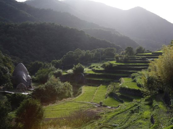 高級クルーザーで行く！瀬戸内海クルーズ＋小豆島の酒蔵・醤油蔵見学ツアー＜貸切／5～7時間／昼食付／高松港発＞