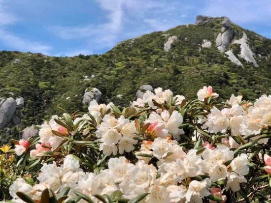 宮之浦岳～縄文杉 縦走キャンプツアー 山に泊まって自然を味わう1泊2日 白谷雲水峡にも行けるコースあり ＜装備レンタル可／貸切可＞ by 屋久島ガイド　山好き