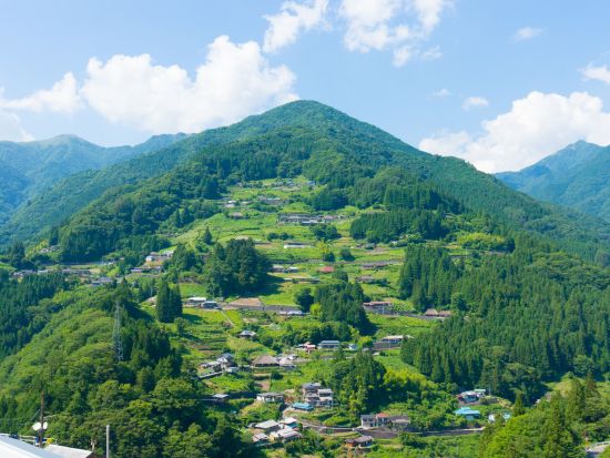 貸切秘境巡りツアー　かずら橋＋二重かずら橋＋落合集落＋かかしの里＋龍宮崖＜5時間／1～9名／大歩危駅・祖谷温泉郷発＞