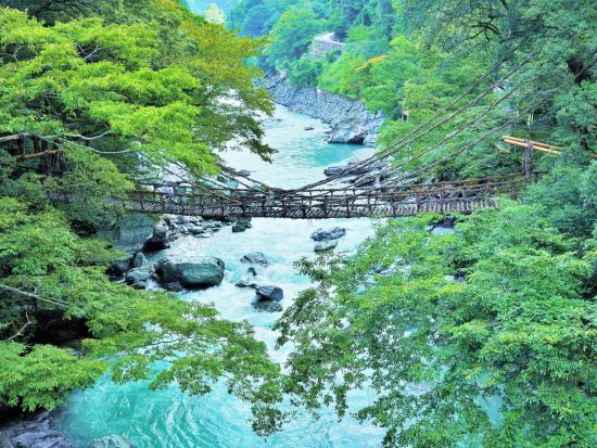 貸切絶景ツアー　大歩危峡遊覧船＋かずら橋＋祖谷渓ひの字＋小便小僧＜3時間／1～9名／大歩危駅・祖谷温泉郷発＞