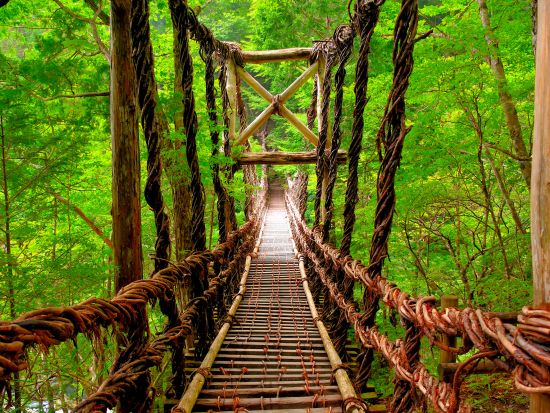 貸切タクシー 行先は自由！かずら橋・落合集落などの絶景へご案内＜3時間・5時間・8時間／1～9名／大歩危駅・祖谷温泉郷発＞