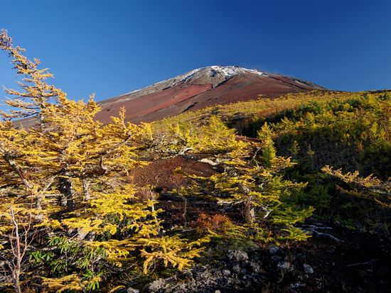 富士山トレッキングツアー 富士山の中腹を巡る御中道コース 奥庭 御庭 滑 小学生から参加可 5 6月 9 10月 昼食付き 送迎付き 富士河口湖町 山梨の観光 遊び 体験 レジャー専門予約サイト Veltra ベルトラ