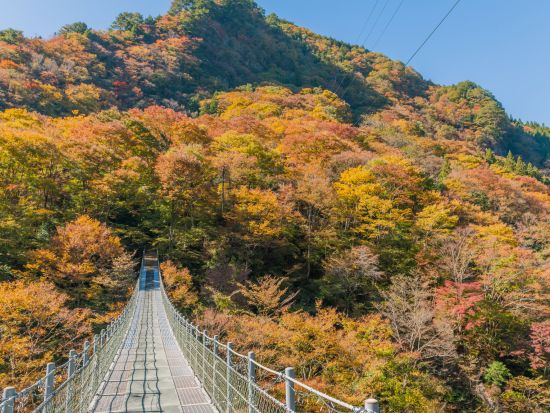 貸切タクシー 行先は自由！かずら橋・落合集落などの絶景へご案内＜3時間・5時間・8時間／1～9名／大歩危駅・祖谷温泉郷発＞