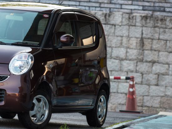 レンタカー予約サービス 6時間～（軽／コンパクトカー／ミニバン） チャイルドシート貸出無料　奄美空港お迎え可能 ＜笠利町＞by 奄美観光レンタカートゥクトゥク