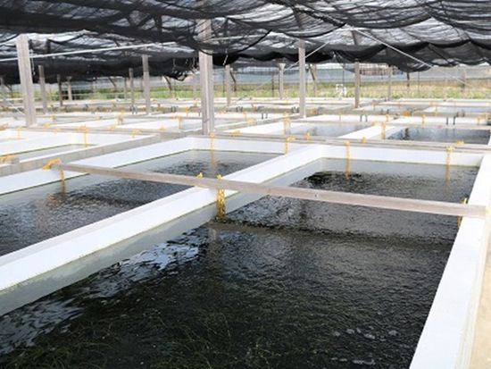 養殖場　写真