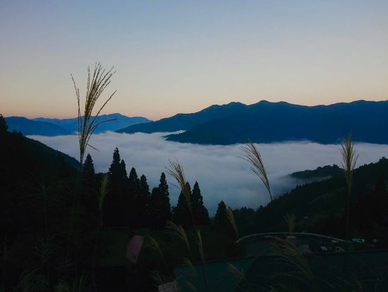 貸切絶景ツアー　祖谷名物「雲海」鑑賞と定番観光！　雲海展望台＋大歩危＆祖谷・祖谷＆奥祖谷　選べる観光2プラン＜5時間・8時間／1～9名／大歩危・祖谷温泉郷発＞