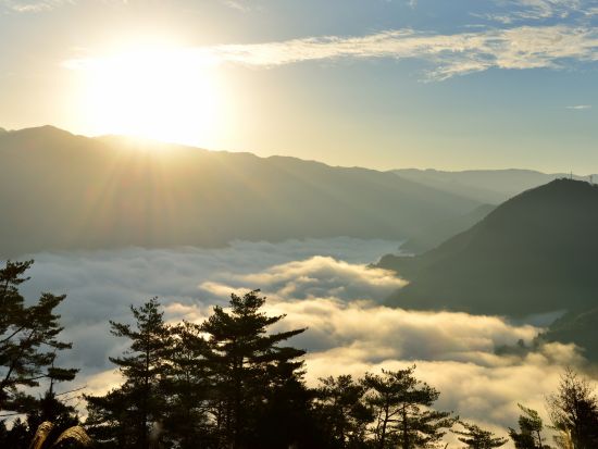 貸切絶景ツアー　祖谷名物「雲海」鑑賞と定番観光！　雲海展望台＋大歩危＆祖谷・祖谷＆奥祖谷　選べる観光2プラン＜5時間・8時間／1～9名／大歩危・祖谷温泉郷発＞