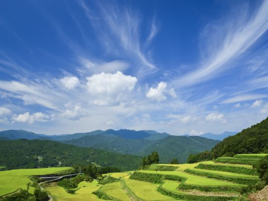 貸切里山ツアー　土佐の里山と地酒「桂月」を堪能！　天空の棚田＋土佐酒蔵＋杉の大杉　ブランド米産地と美空ひばりゆかりの地を巡る＜8時間／選べる出発時間／高知市発＞