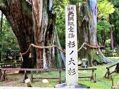 pixta_41034029_M