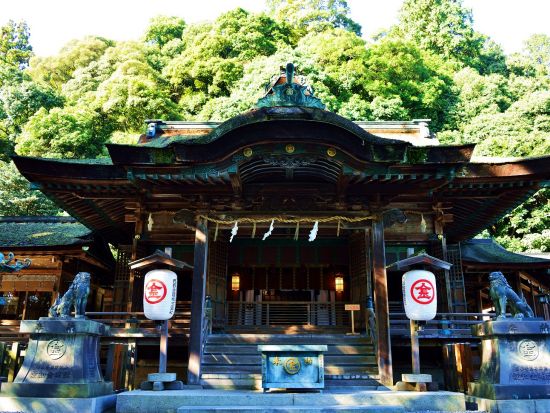 貸切香川日帰りツアー　こんぴらさん＋讃岐うどん手打ち体験　パワースポット参拝と名物グルメ＜選べる出発時間／高知市発＞