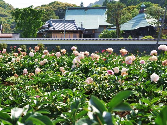 種間寺_pixta_2882764_M