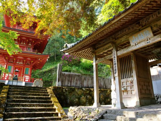 四国八十八か所霊場会公認先達ドライバーと行くお遍路巡り＜半日・１日／選べる出発時間／空港送迎可／高知市発＞