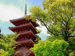 pixta_64633416_M