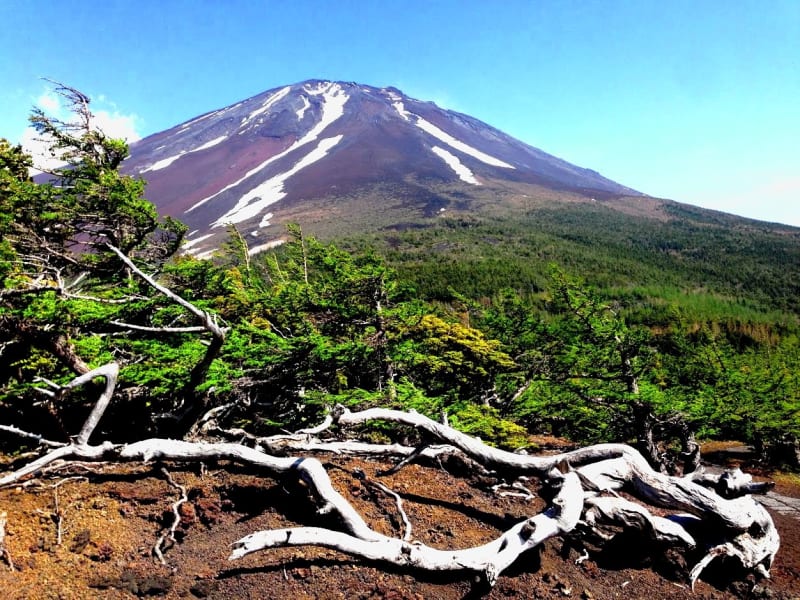 富士山トレッキング09